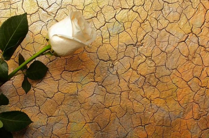 Все виды декоративной штукатурки с фото и описанием, выбор, уход