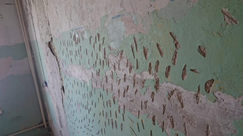 Можно ли клеить флизелиновые обои на краску и как правильно это делать?